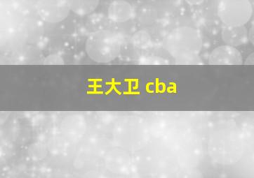 王大卫 cba